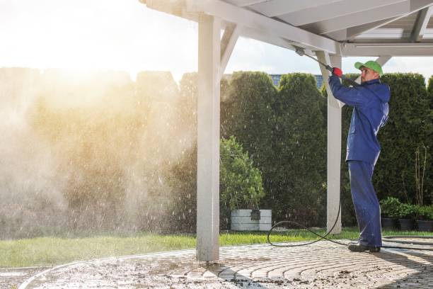 Best Soft Washing  in Heidelberg, TX